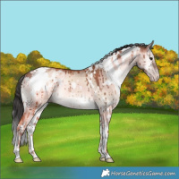 Horse Color:White Spotted Sable Champagne Onyx Brindle 