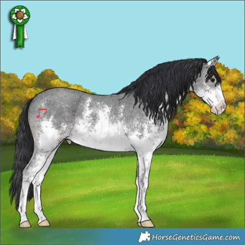 Horse Color:White Spotted Black Sabino 