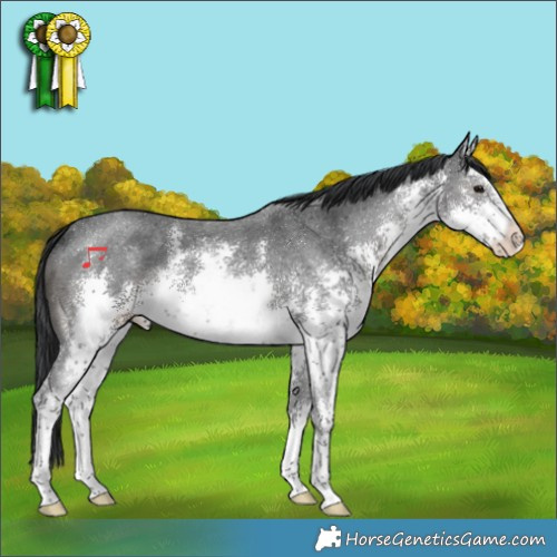 Horse Color:White Spotted Black Sabino 