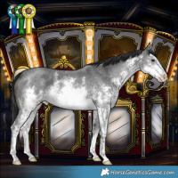 Horse Color:White Spotted Black Sabino 