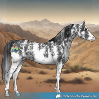 Horse Color:Black Sabino 