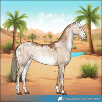 Horse Color:White Spotted Liver Red Dun Pearl Mushroom Rabicano Brindle  and Gray White Spotted Liver Red Dun Pearl Mushroom Appaloosa Rabicano 