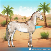 Horse Color:White Spotted Liver Red Dun Pearl Mushroom Rabicano Brindle and Gray White Spotted Liver Red Dun Pearl Mushroom Appaloosa Rabicano