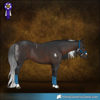 Horse Color:Brown Tobiano Rabicano