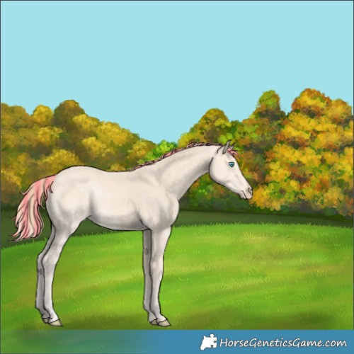Horse Color:Painted Perlino 