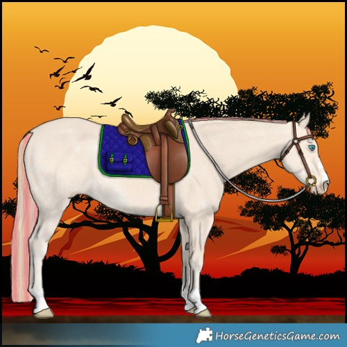 Horse Color:Painted Perlino 