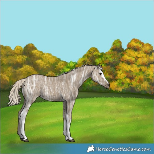 Horse Color:White Spotted Silver Smoky Grullo Ice 