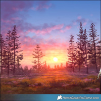 Horse Color:Perlino Sabino