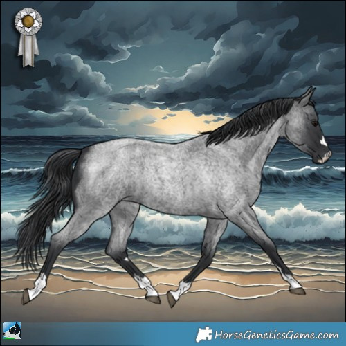 Horse Color:Blue Roan 