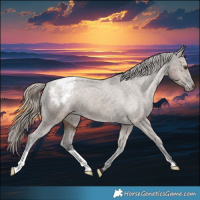 Horse Color:Liver Red Dun Appaloosa Brindle 