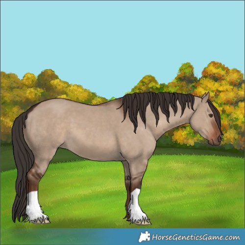 Horse Color:Liver Red Dun 