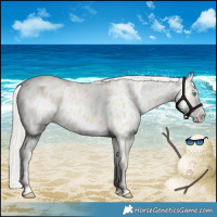 Horse Color:Cremello Near Leopard 