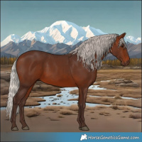 Horse Color:Silver Brown 