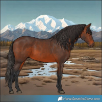 Horse Color:Brown 