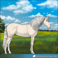 Horse Color:Cremello 