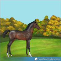 Horse Color:Brown 