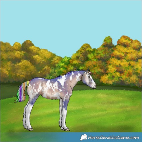 Horse Color:Painted Watercolor White Spotted Silver Brown Ice Onyx 