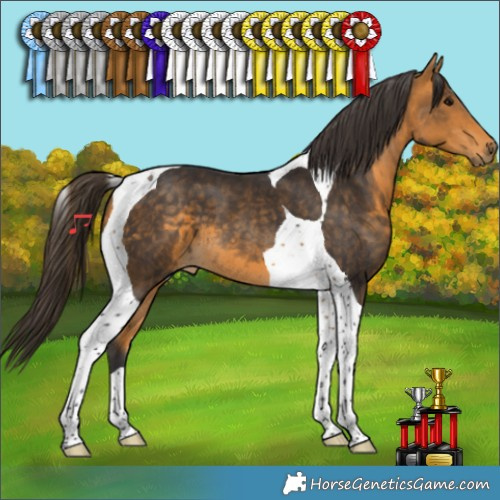 Horse Color:Buckskin Tobiano 