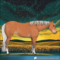 Horse Color:Silver Bay Tobiano 