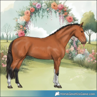 Horse Color:Bay Tobiano