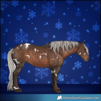 Horse Color:White Spotted Silver Brown