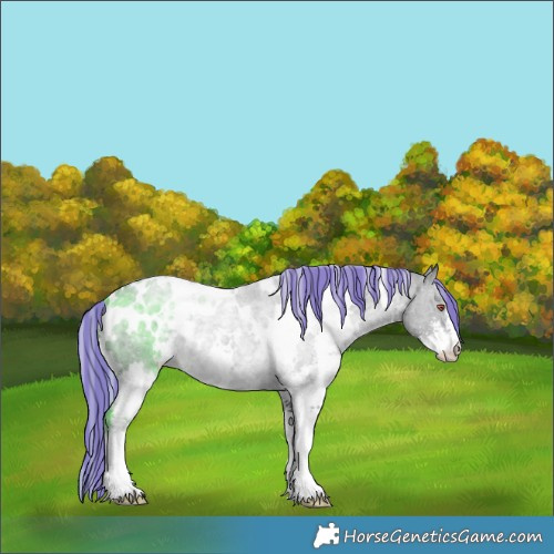 Horse Color:Painted White Spotted Silver Black Chinchilla Sabino 