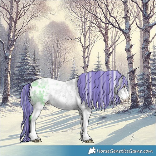 Horse Color:Painted White Spotted Silver Black Chinchilla Sabino 