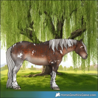 Horse Color:White Spotted Silver Brown Tobiano
