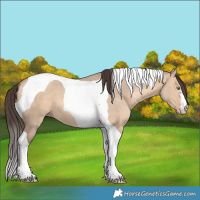 Horse Color:Amber Champagne Dun Tobiano 