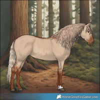 Horse Color:Red Dun Rabicano