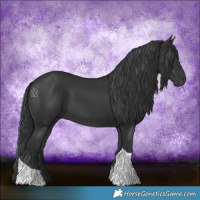 Horse Color:Black Tobiano Rabicano