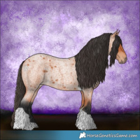 Horse Color:Bay Roan Tobiano 