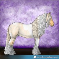 Horse Color:Palomino Roan Tobiano