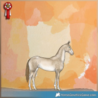 Horse Color:Buckskin Pearl 