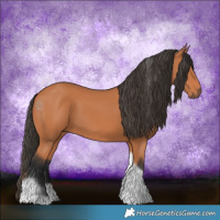 Horse Color:Bay Tobiano Frame 