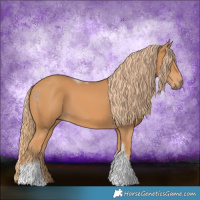 Horse Color:Chestnut Tobiano Frame