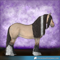 Horse Color:Bay Dun Tobiano 