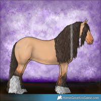 Horse Color:Bay Dun Tobiano 