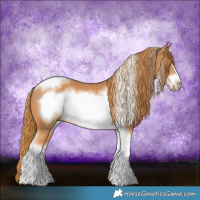 Horse Color:Chestnut Tobiano Frame 