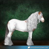 Horse Color:Bay Tobiano Frame 
