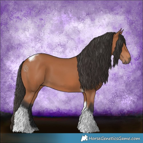 Horse Color:Bay Tobiano Frame 