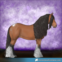 Horse Color:Bay Tobiano Frame 