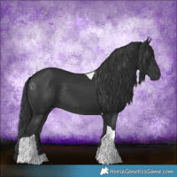 Horse Color:Black Tobiano Rabicano