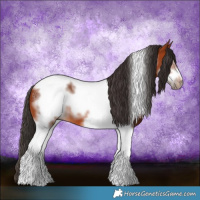Horse Color:Bay Tobiano Frame 