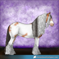 Horse Color:Bay Tobiano Frame 