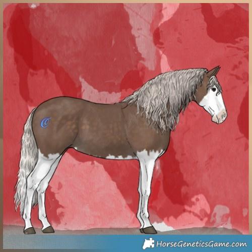 Horse Color:Silver Black Splash 