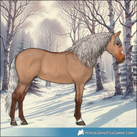 Horse Color:Silver Bay Dun
