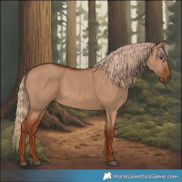 Horse Color:Red Dun 