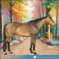 Horse Color:Buckskin