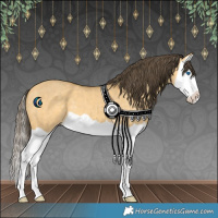 Horse Color:Amber Cream Champagne Dun Splash 
